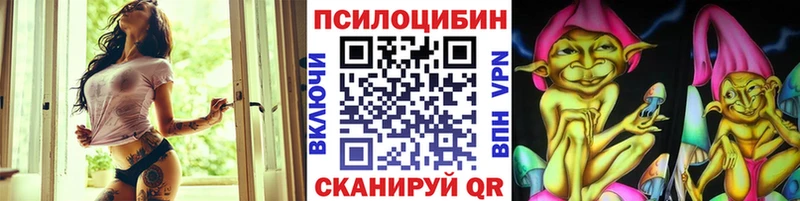 Купить где  Ейск  Галлюциногенные грибы мицелий 